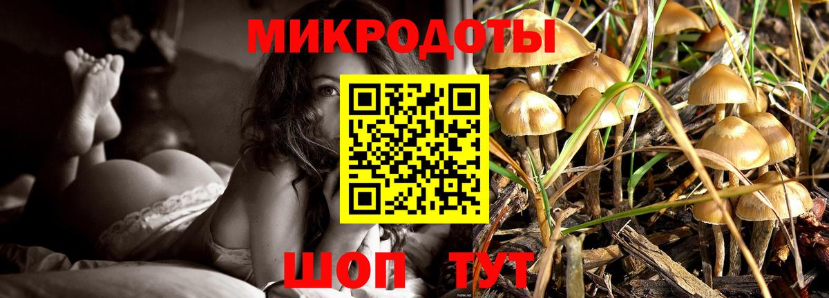 Лабытнанги  Псилоцибиновые грибы MAGIC MUSHROOMS  Вход с VPN 